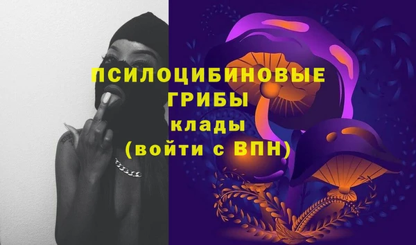 ешки Арсеньев