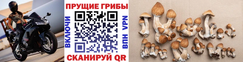 закладки  Удомля  blacksprut маркетплейс  Псилоцибиновые грибы Psilocybine cubensis 